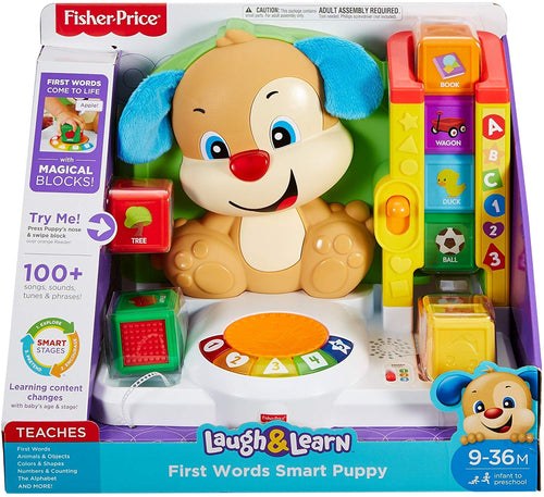 Fisher Price Smart puppy block toy